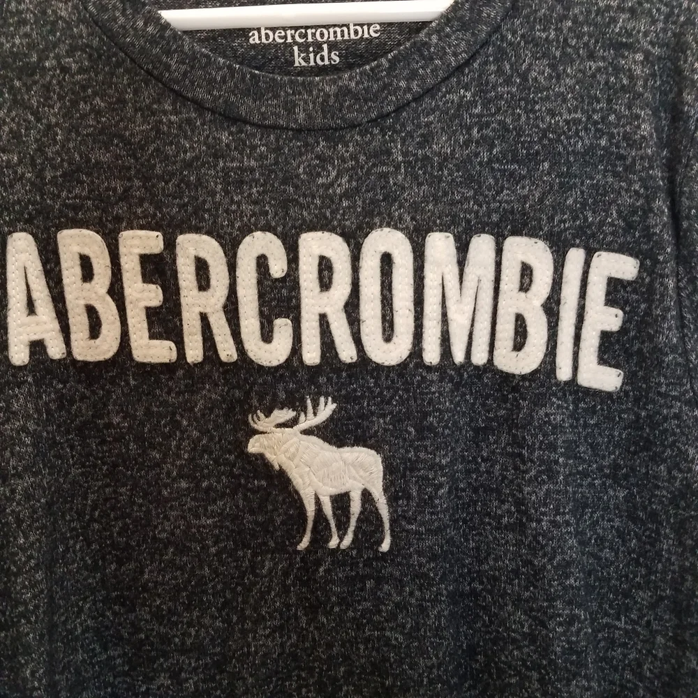 Abercrombie Kids Boys Size 9/10 Shirt Long Sleeve Moose Youth Top Knit